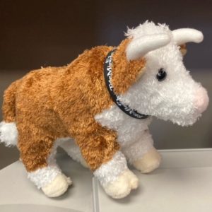 TM47 - Tumbleweed The Bull